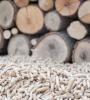 Bois et granule