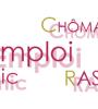 emploi smic chomage