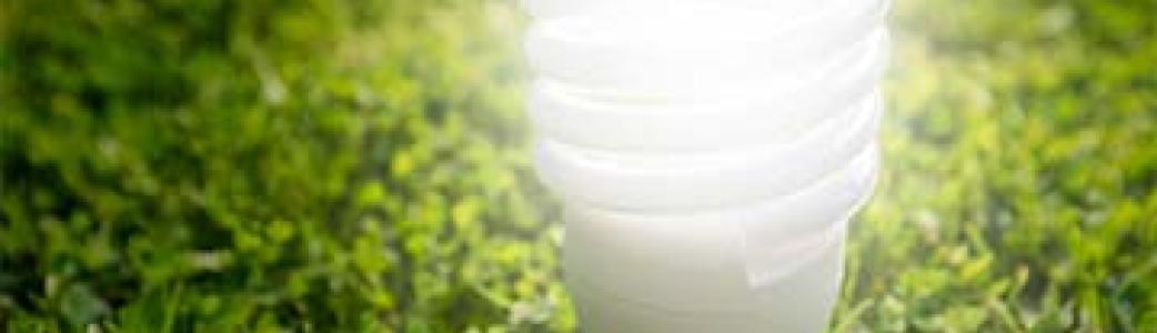 ampoule gazon