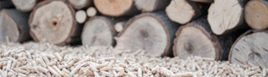 Bois et granule