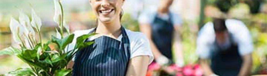 microcrédit professionnel