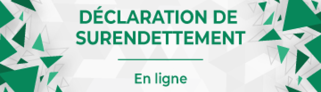 image déclaration en ligne