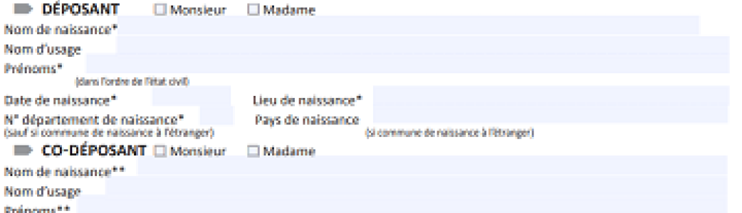 copie écran d'un formulaire