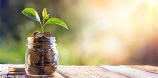 économie verte