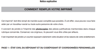 copie écran de la notice d'un formulaire