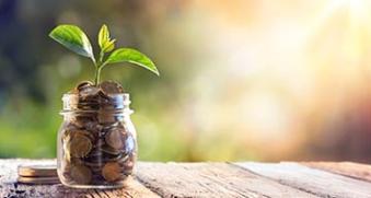 économie verte