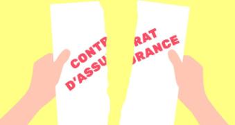 Contrat d'assurance déchiré
