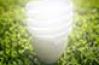 ampoule éclairée sur herbe