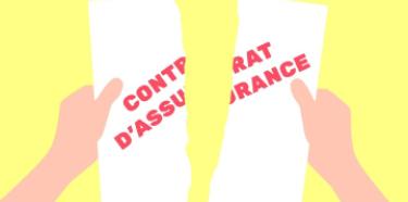 Contrat d'assurance déchiré