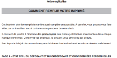 copie écran de la notice d'un formulaire